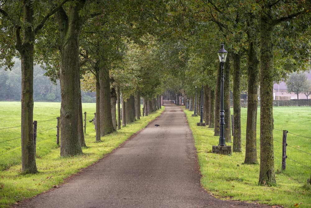 Entreelaan Landgoed Soesterduin